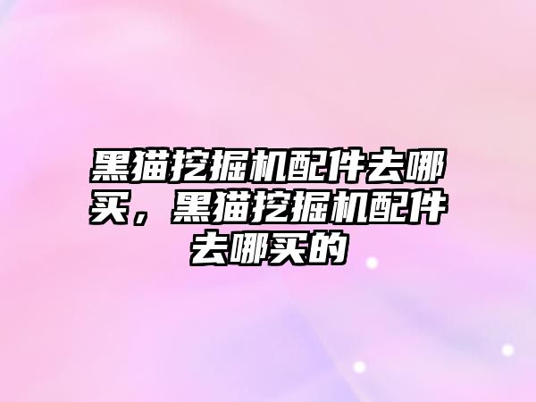 黑貓挖掘機配件去哪買，黑貓挖掘機配件去哪買的