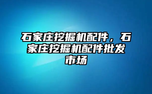 石家莊挖掘機(jī)配件，石家莊挖掘機(jī)配件批發(fā)市場