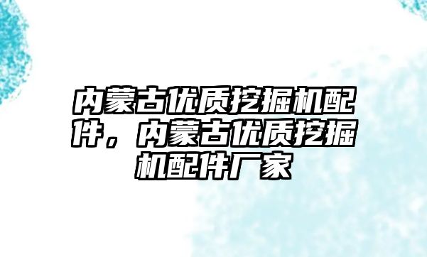 內蒙古優質挖掘機配件，內蒙古優質挖掘機配件廠家