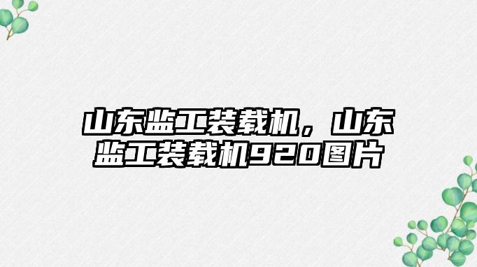 山東監工裝載機，山東監工裝載機920圖片