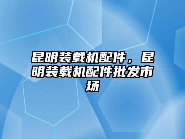 昆明裝載機配件，昆明裝載機配件批發市場