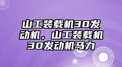 山工裝載機(jī)30發(fā)動(dòng)機(jī)，山工裝載機(jī)30發(fā)動(dòng)機(jī)馬力