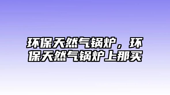 環保天然氣鍋爐，環保天然氣鍋爐上那買