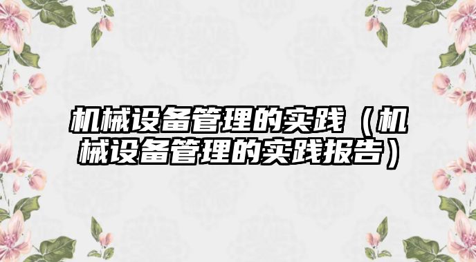 機(jī)械設(shè)備管理的實(shí)踐（機(jī)械設(shè)備管理的實(shí)踐報告）