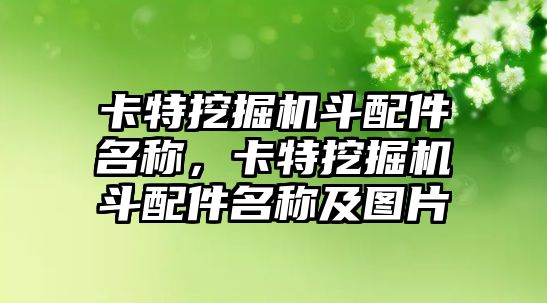 卡特挖掘機斗配件名稱，卡特挖掘機斗配件名稱及圖片