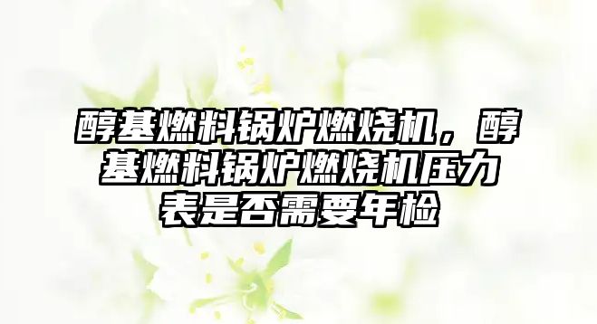 醇基燃料鍋爐燃燒機，醇基燃料鍋爐燃燒機壓力表是否需要年檢