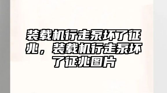 裝載機行走泵壞了征兆，裝載機行走泵壞了征兆圖片