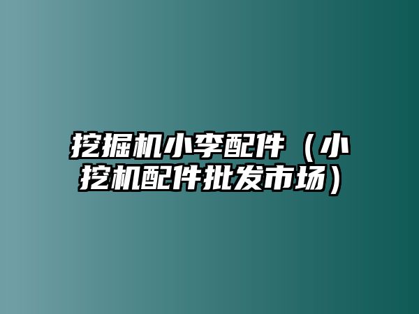 挖掘機(jī)小李配件（小挖機(jī)配件批發(fā)市場）