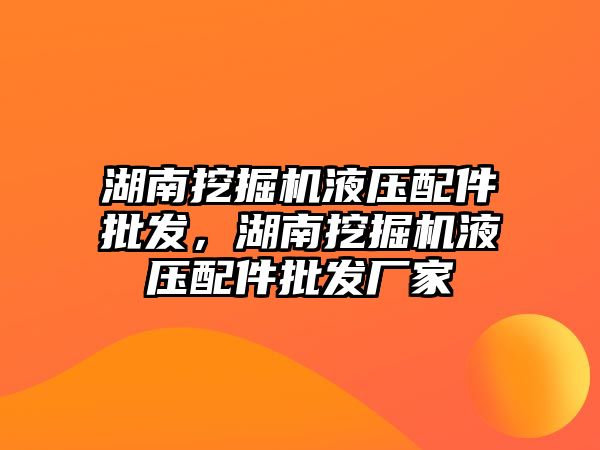 湖南挖掘機液壓配件批發，湖南挖掘機液壓配件批發廠家