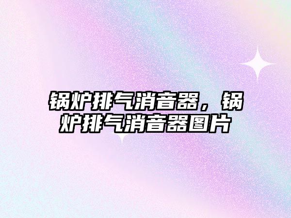 鍋爐排氣消音器，鍋爐排氣消音器圖片