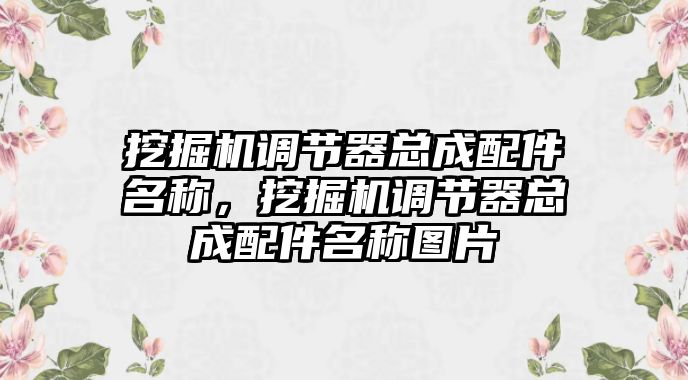 挖掘機(jī)調(diào)節(jié)器總成配件名稱，挖掘機(jī)調(diào)節(jié)器總成配件名稱圖片