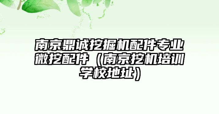 南京鼎誠挖掘機配件專業微挖配件（南京挖機培訓學校地址）