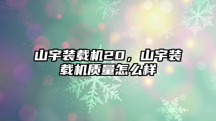 山宇裝載機20，山宇裝載機質量怎么樣