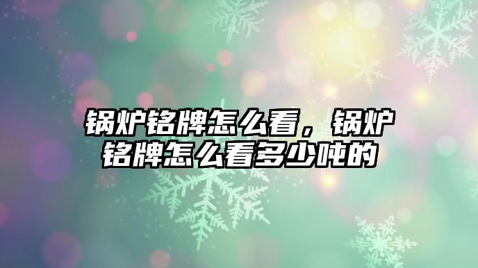 鍋爐銘牌怎么看，鍋爐銘牌怎么看多少噸的