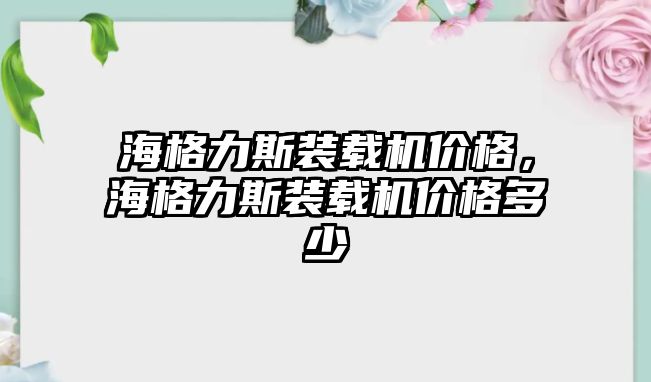 海格力斯裝載機(jī)價(jià)格，海格力斯裝載機(jī)價(jià)格多少