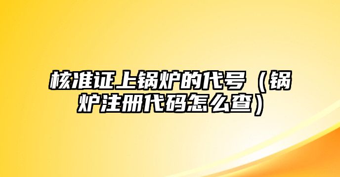 核準證上鍋爐的代號（鍋爐注冊代碼怎么查）