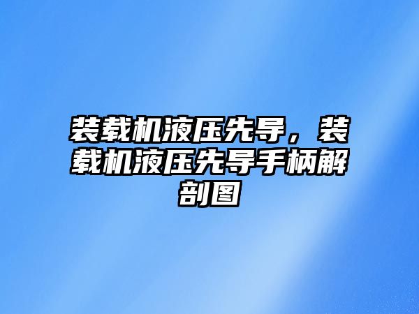 裝載機液壓先導，裝載機液壓先導手柄解剖圖