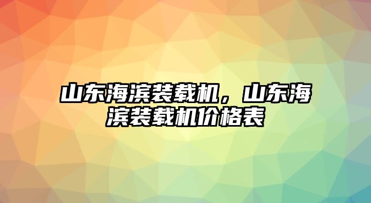 山東海濱裝載機，山東海濱裝載機價格表