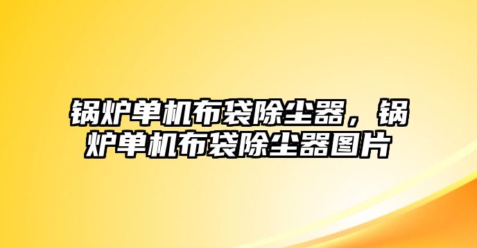 鍋爐單機布袋除塵器，鍋爐單機布袋除塵器圖片