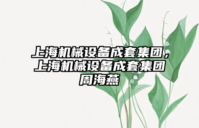 上海機械設(shè)備成套集團，上海機械設(shè)備成套集團周海燕