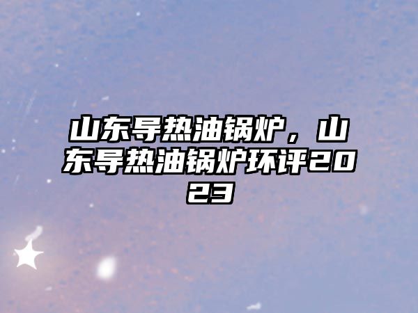 山東導熱油鍋爐，山東導熱油鍋爐環評2023