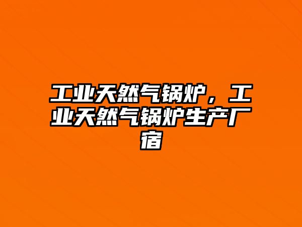 工業天然氣鍋爐，工業天然氣鍋爐生產廠宿