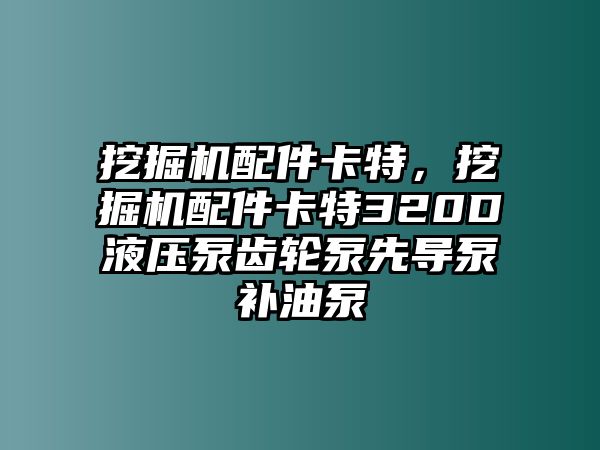 挖掘機配件卡特，挖掘機配件卡特320D液壓泵齒輪泵先導泵補油泵