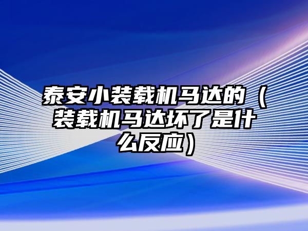 泰安小裝載機馬達的（裝載機馬達壞了是什么反應）