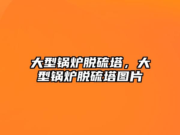 大型鍋爐脫硫塔，大型鍋爐脫硫塔圖片