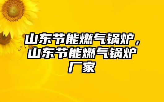 山東節能燃氣鍋爐，山東節能燃氣鍋爐廠家