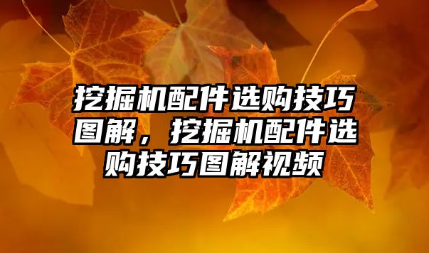 挖掘機配件選購技巧圖解，挖掘機配件選購技巧圖解視頻