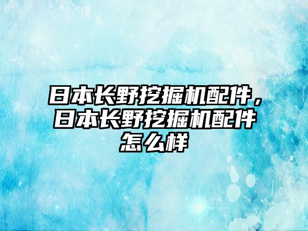 日本長野挖掘機(jī)配件，日本長野挖掘機(jī)配件怎么樣