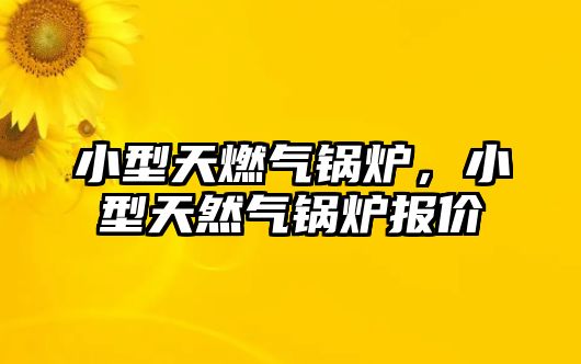 小型天燃?xì)忮仩t，小型天然氣鍋爐報(bào)價(jià)