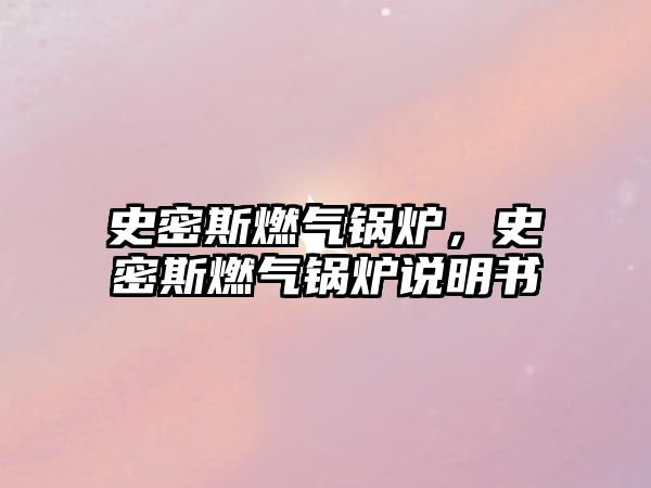 史密斯燃?xì)忮仩t，史密斯燃?xì)忮仩t說明書