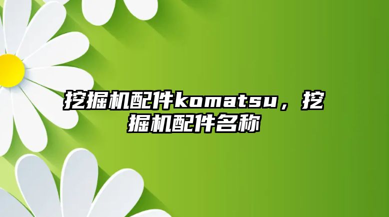 挖掘機配件komatsu，挖掘機配件名稱