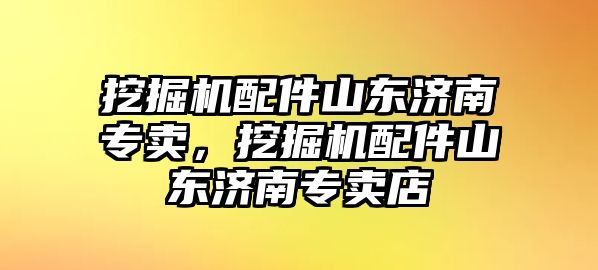 挖掘機(jī)配件山東濟(jì)南專賣，挖掘機(jī)配件山東濟(jì)南專賣店