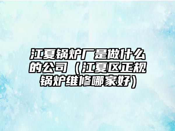 江夏鍋爐廠是做什么的公司（江夏區正規鍋爐維修哪家好）