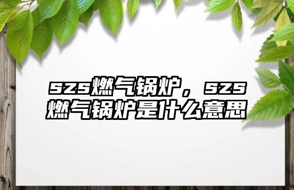 szs燃?xì)忮仩t，szs燃?xì)忮仩t是什么意思