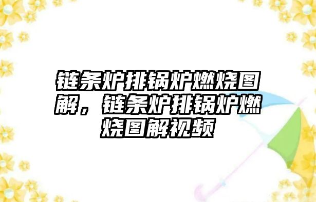 鏈條爐排鍋爐燃燒圖解，鏈條爐排鍋爐燃燒圖解視頻