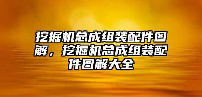 挖掘機總成組裝配件圖解，挖掘機總成組裝配件圖解大全