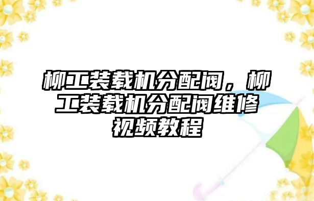 柳工裝載機分配閥，柳工裝載機分配閥維修視頻教程