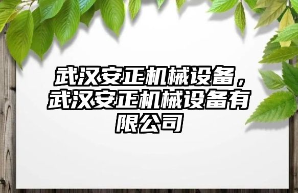 武漢安正機械設備，武漢安正機械設備有限公司