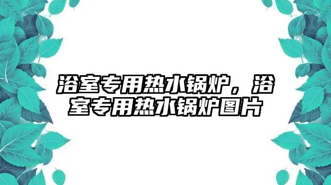 浴室專用熱水鍋爐，浴室專用熱水鍋爐圖片