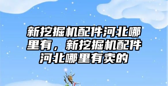 新挖掘機配件河北哪里有，新挖掘機配件河北哪里有賣的