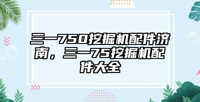 三一750挖掘機(jī)配件濟(jì)南，三一75挖掘機(jī)配件大全