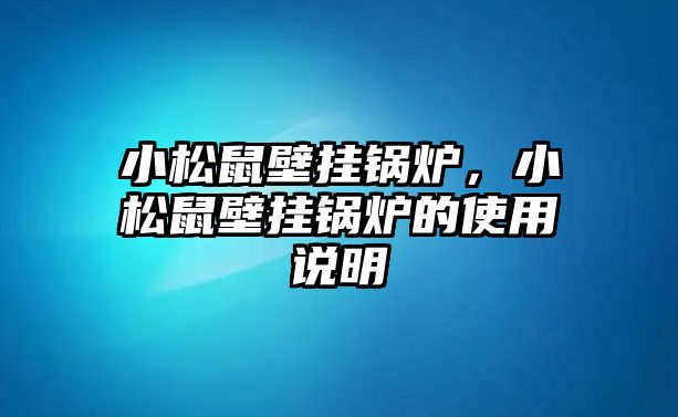 小松鼠壁掛鍋爐，小松鼠壁掛鍋爐的使用說明