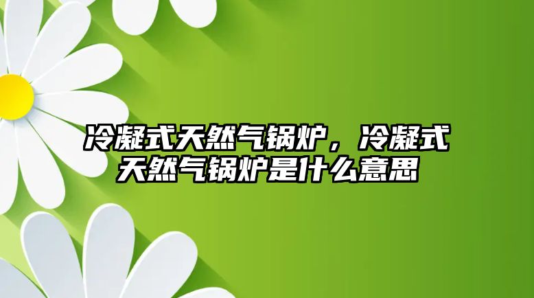 冷凝式天然氣鍋爐，冷凝式天然氣鍋爐是什么意思