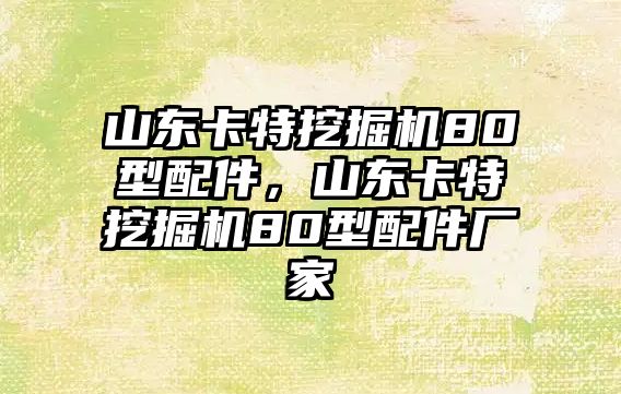 山東卡特挖掘機80型配件，山東卡特挖掘機80型配件廠家