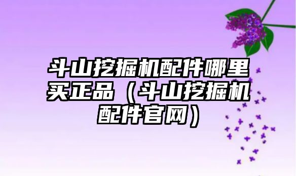 斗山挖掘機配件哪里買正品（斗山挖掘機配件官網）