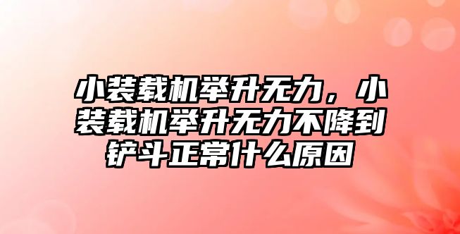 小裝載機舉升無力，小裝載機舉升無力不降到鏟斗正常什么原因